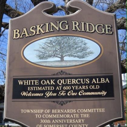 Basking Ridge Handyman