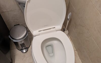 Small Bathroom Repairs