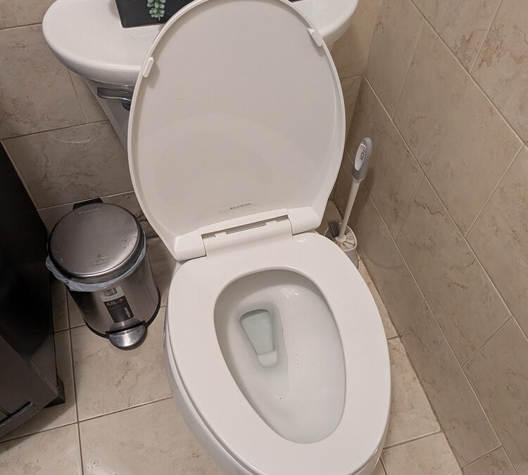 Small Bathroom Repairs
